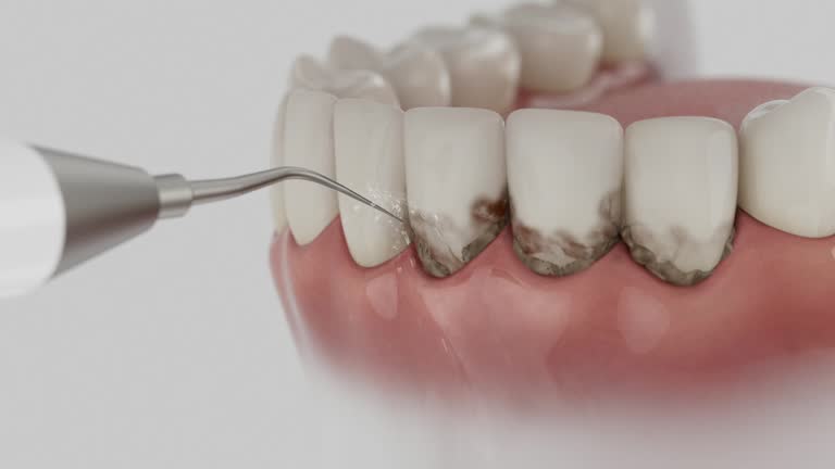 Reliable Dental contractor in Green Bay, WI by Dentist Open Now